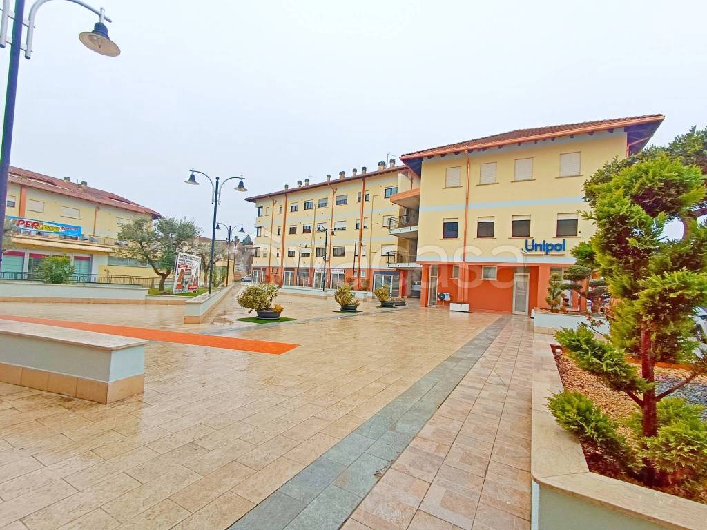 immagine annuncio 9 di 11