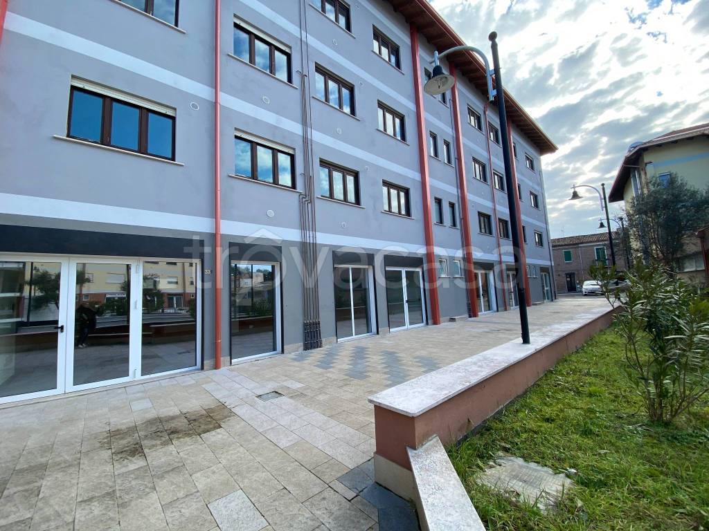 immagine annuncio 2 di 7