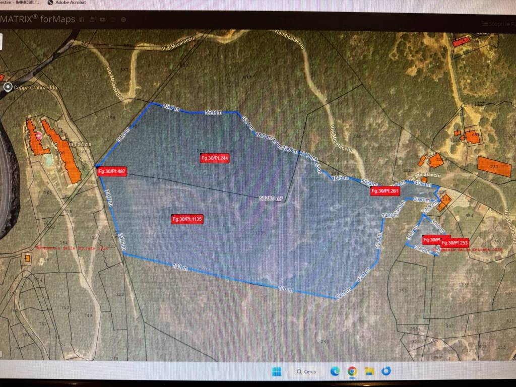 immagine annuncio 6 di 10