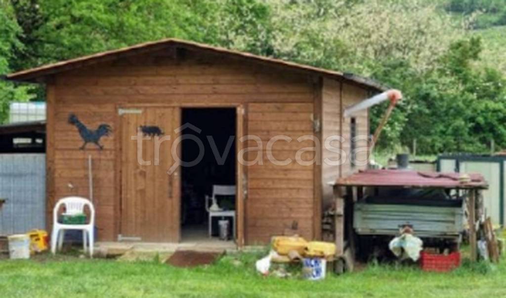 immagine annuncio 7 di 11