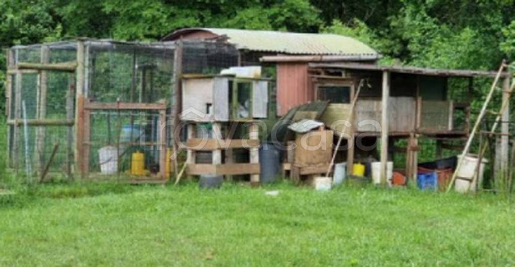 immagine annuncio 9 di 11