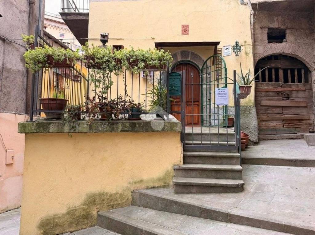 immagine annuncio 9 di 11