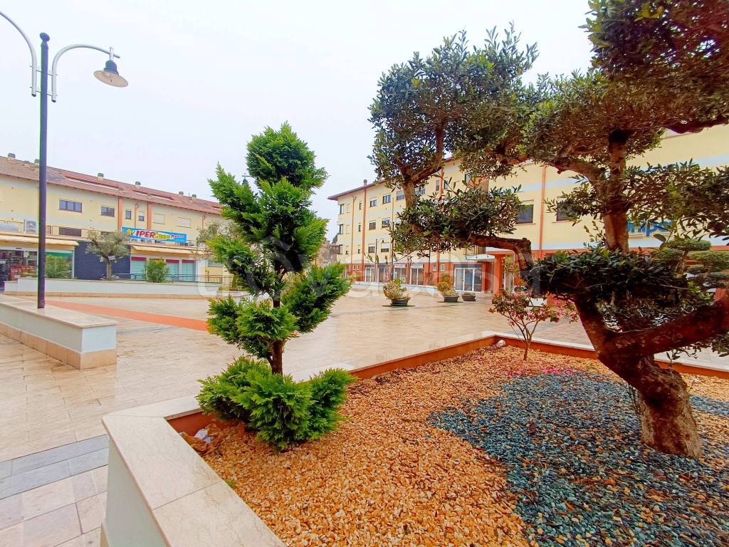 immagine annuncio 9 di 11