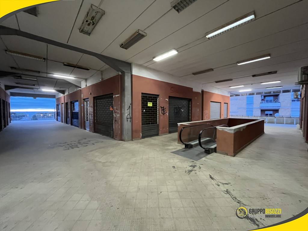 immagine annuncio 4 di 6