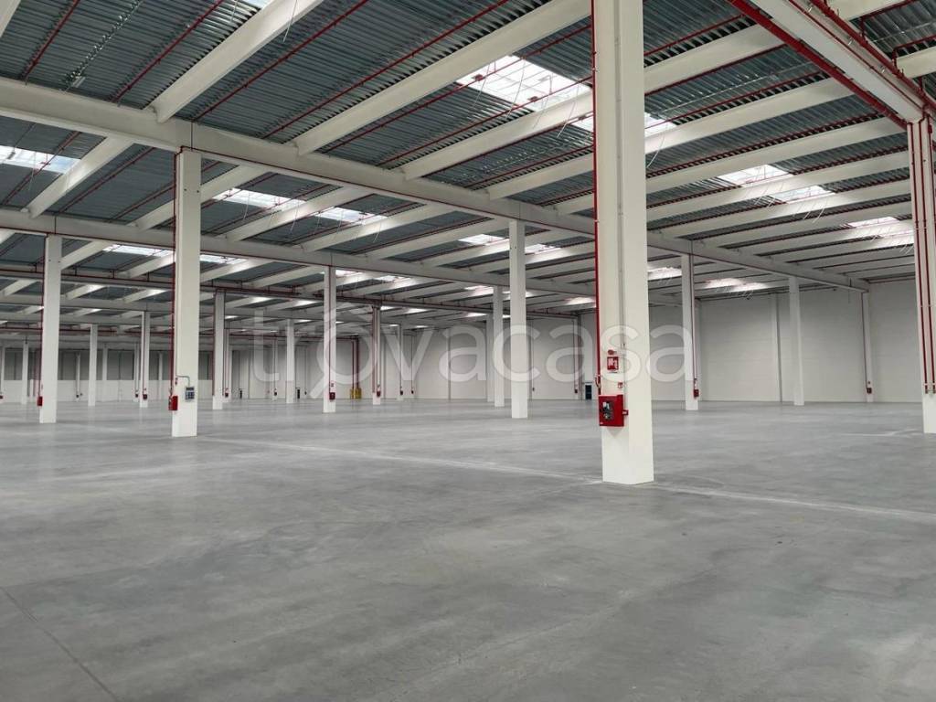 immagine annuncio 2 di 7