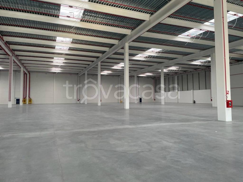 immagine annuncio 3 di 7