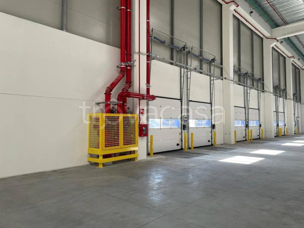 immagine annuncio 4 di 7