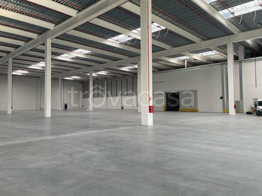 immagine annuncio 5 di 7