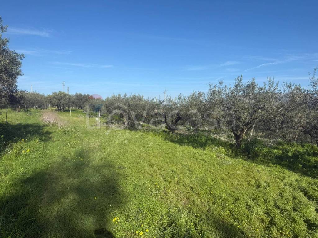 immagine annuncio 6 di 7