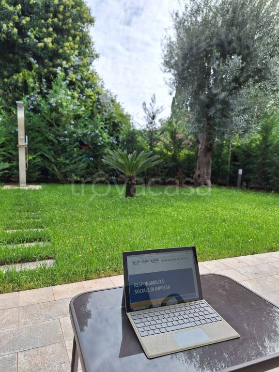 immagine annuncio 12 di 14