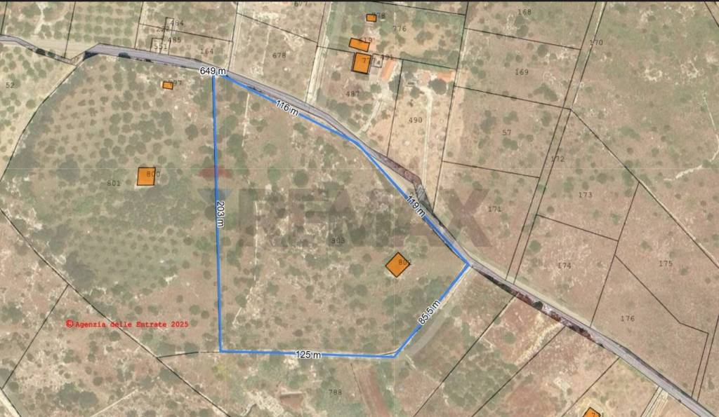 immagine annuncio 9 di 10