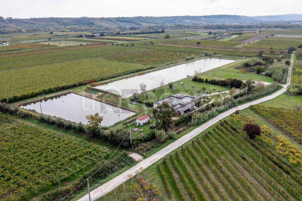 immagine annuncio 11 di 15