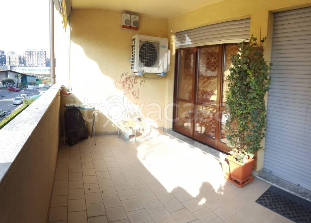 immagine annuncio 4 di 12