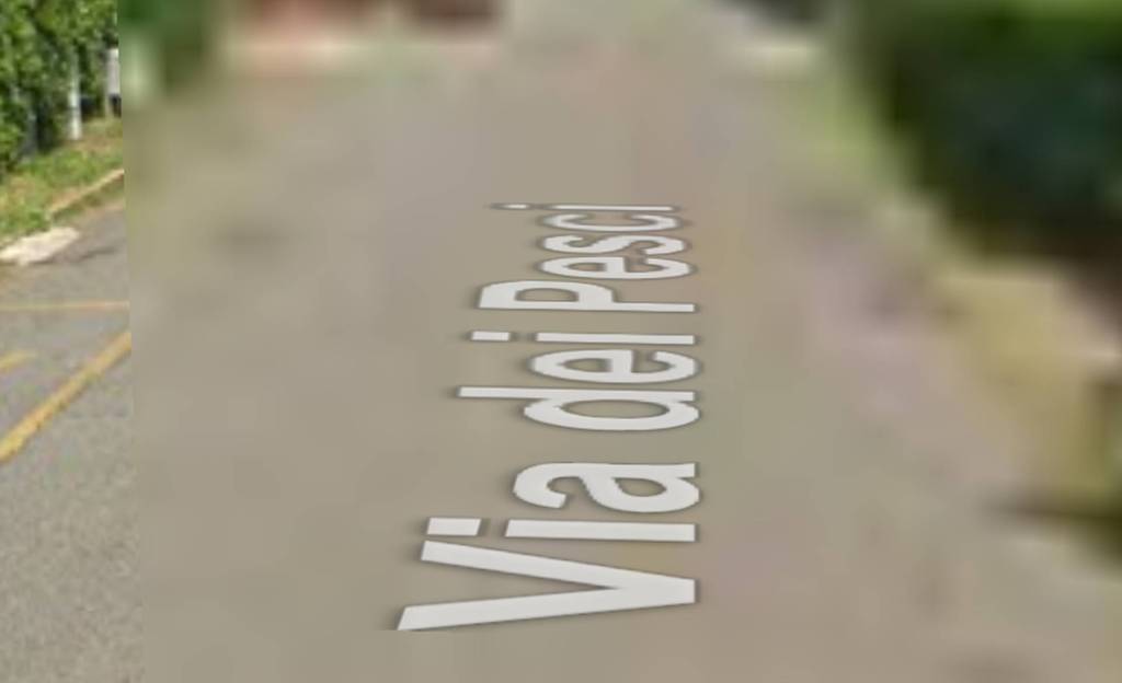 immagine annuncio 3 di 12