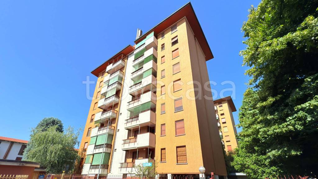 immagine annuncio 5 di 15