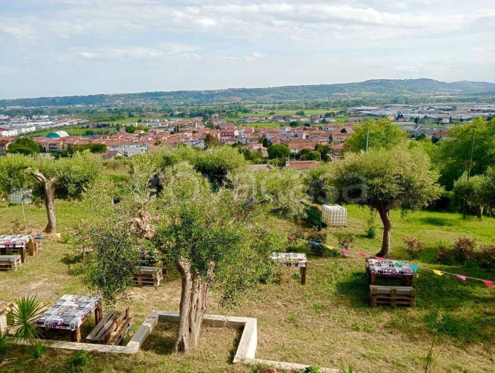 immagine annuncio 2 di 13