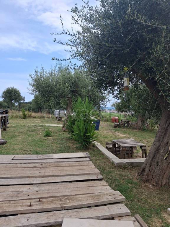 immagine annuncio 6 di 13