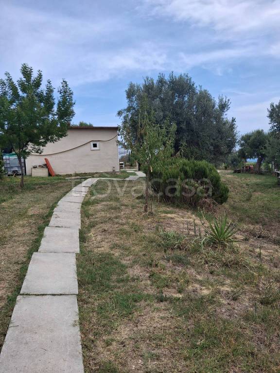 immagine annuncio 8 di 13