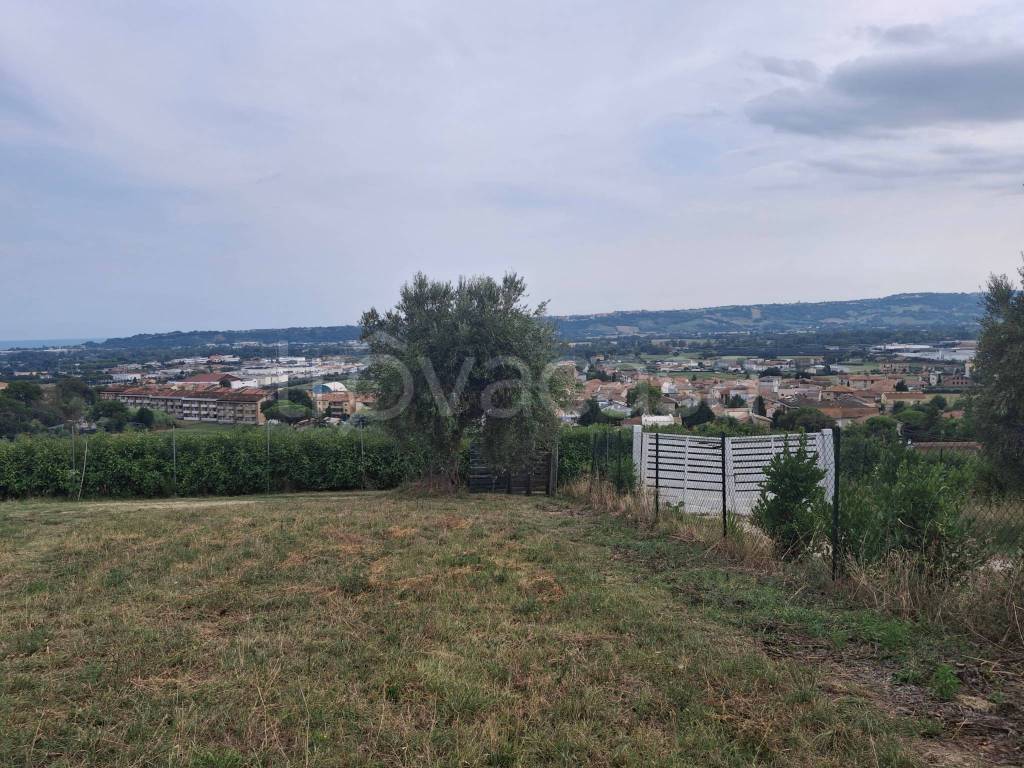 immagine annuncio 10 di 13