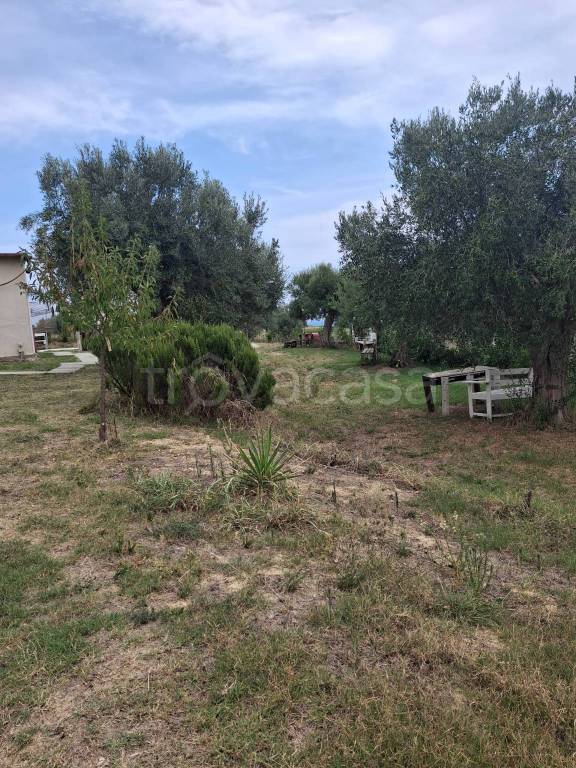 immagine annuncio 11 di 13