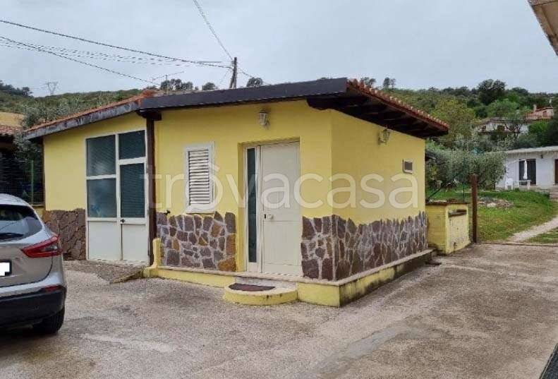 immagine annuncio 2 di 4