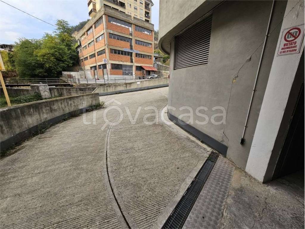 immagine annuncio 5 di 8