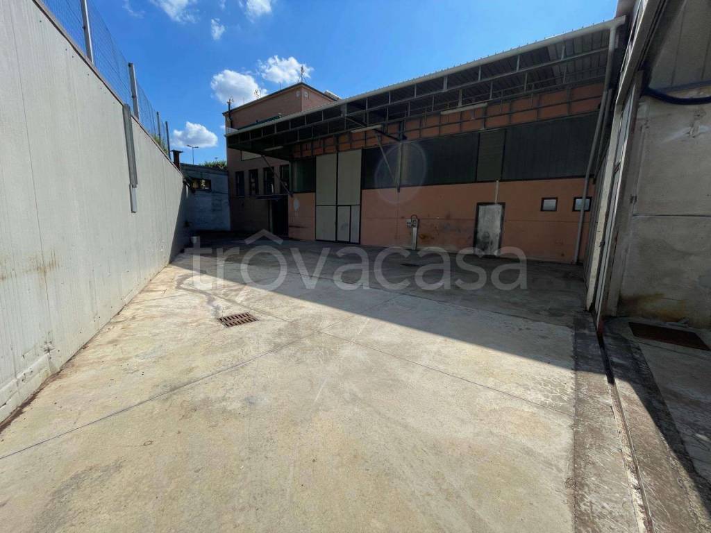 immagine annuncio 2 di 5