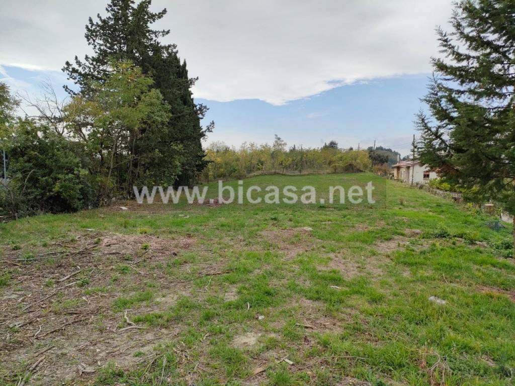 immagine annuncio 2 di 4