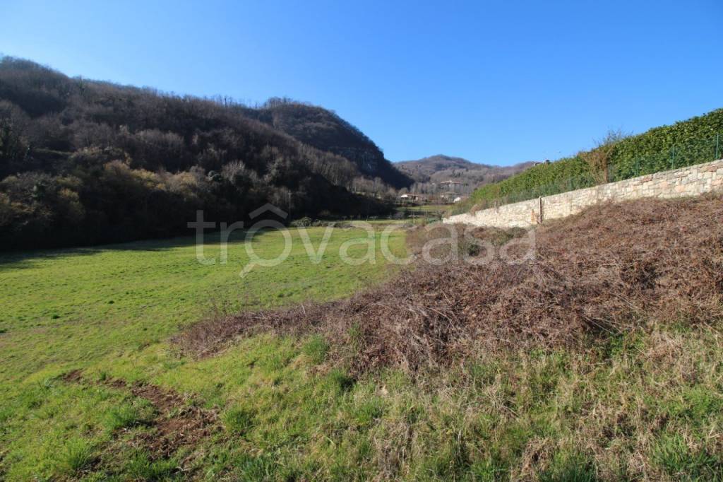 immagine annuncio 5 di 8