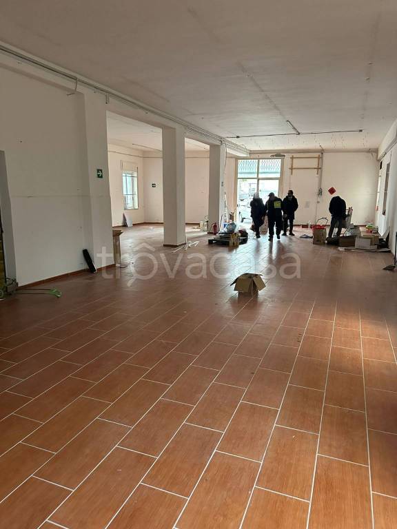 immagine annuncio 5 di 8