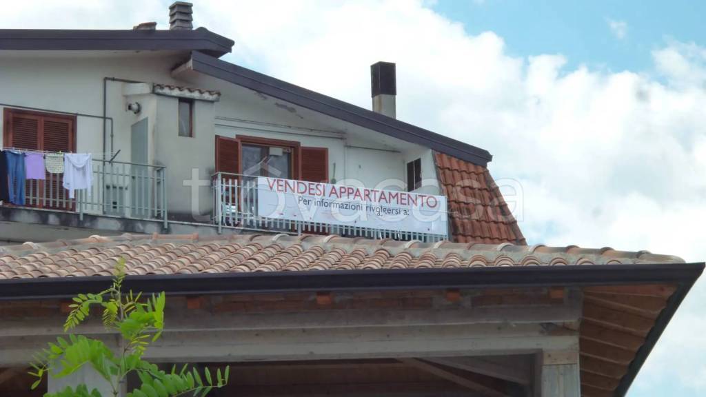 immagine annuncio 5 di 6