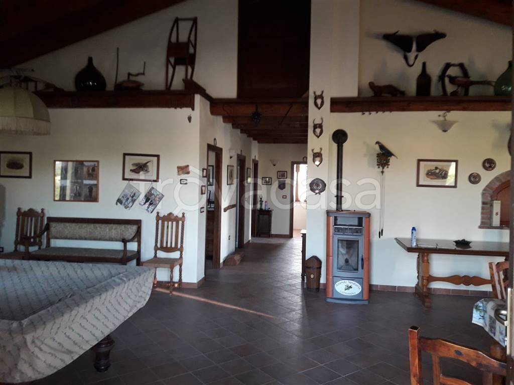 immagine annuncio 6 di 8