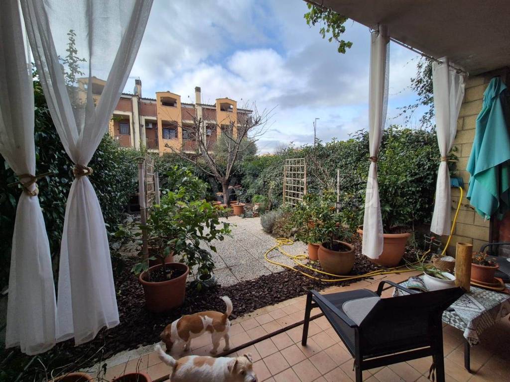 immagine annuncio 14 di 15