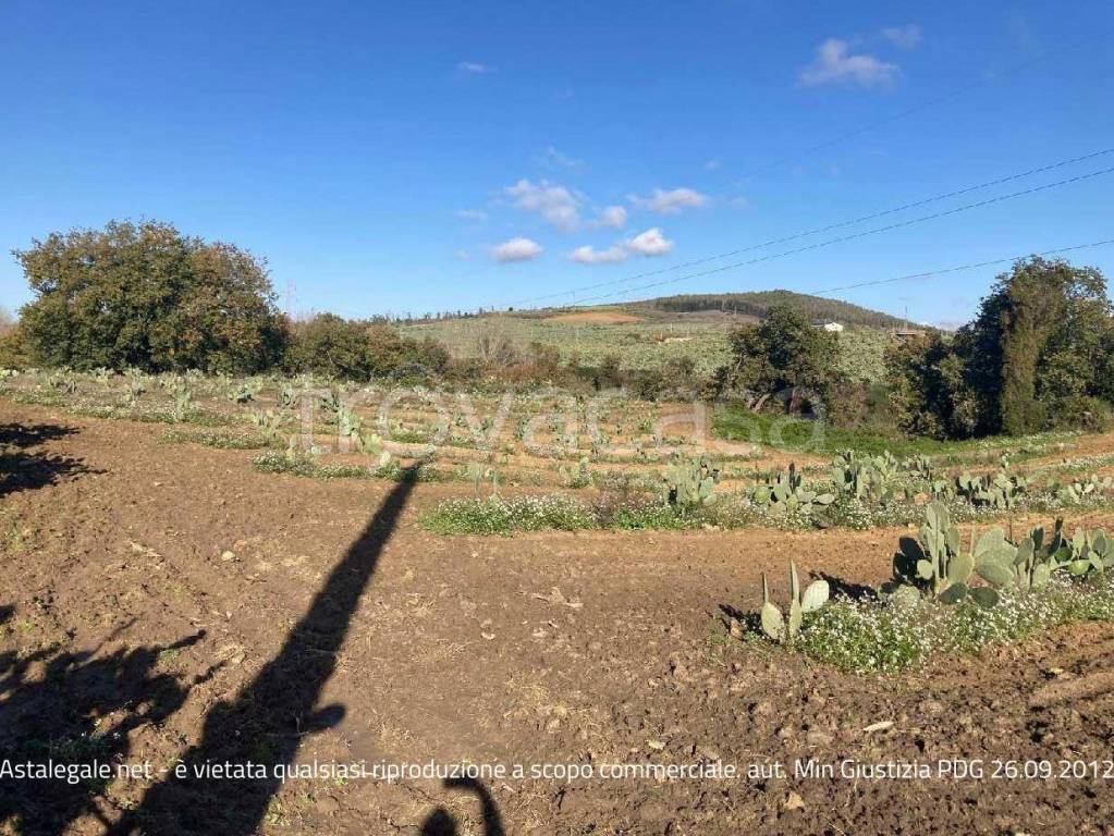 immagine annuncio 6 di 12