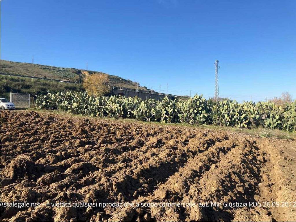 immagine annuncio 7 di 12