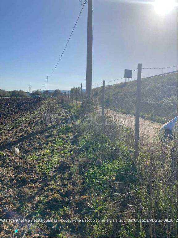 immagine annuncio 9 di 12