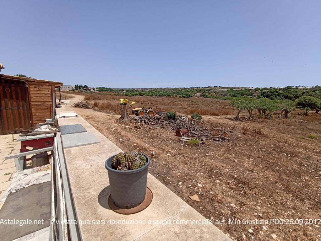 immagine annuncio 3 di 12