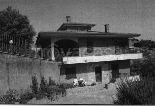 immagine annuncio 5 di 6