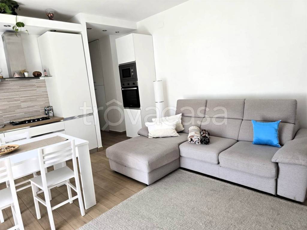 immagine annuncio 2 di 12