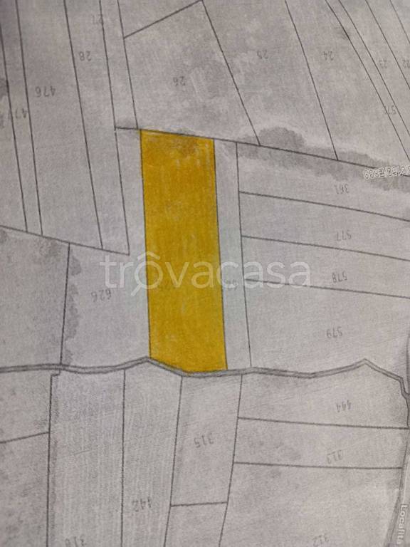 immagine annuncio 2 di 3