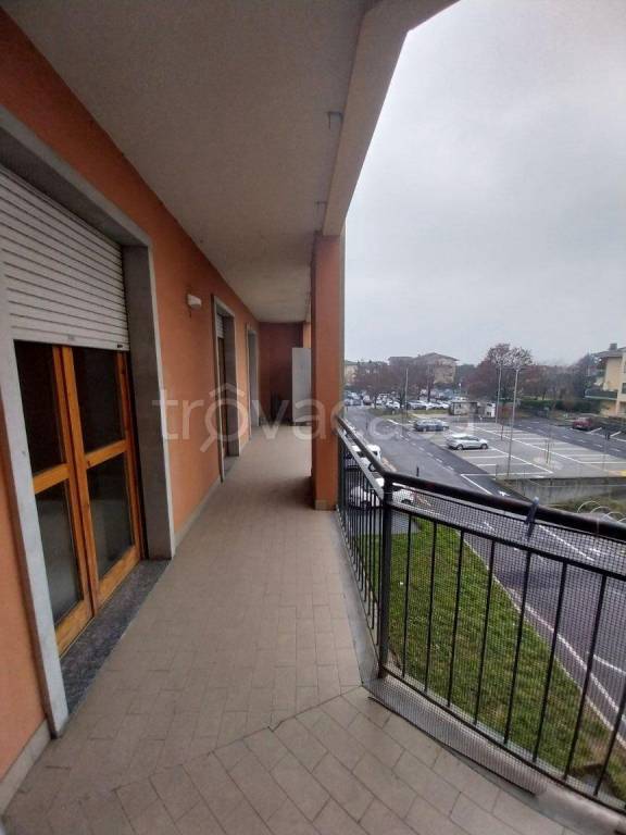 immagine annuncio 5 di 14