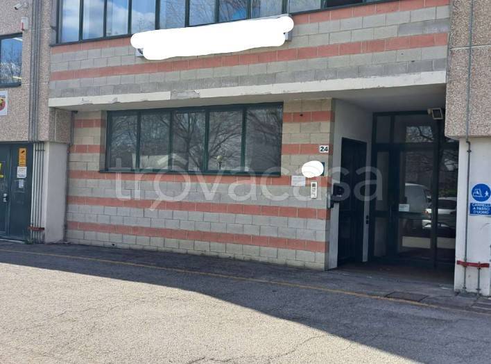 immagine annuncio 1 di 14