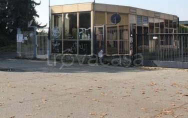 immagine annuncio 2 di 8