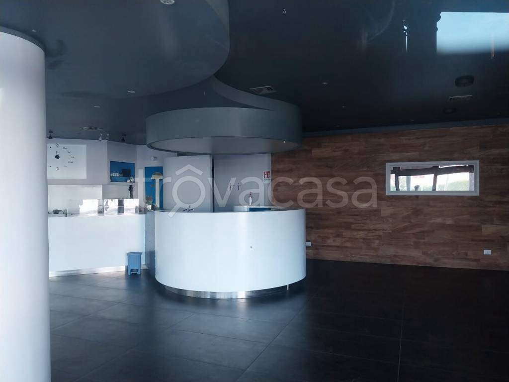 immagine annuncio 4 di 8