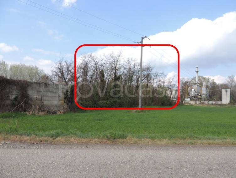 immagine annuncio 4 di 8