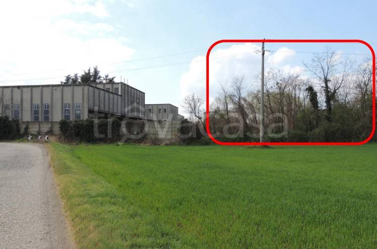 immagine annuncio 5 di 8