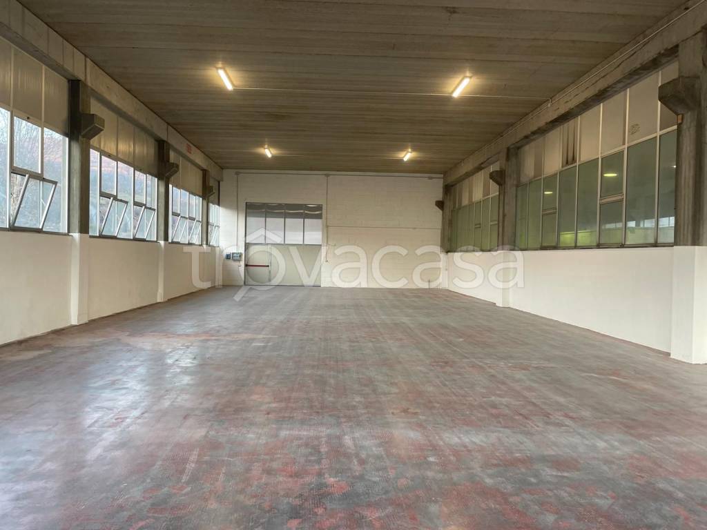 immagine annuncio 2 di 7