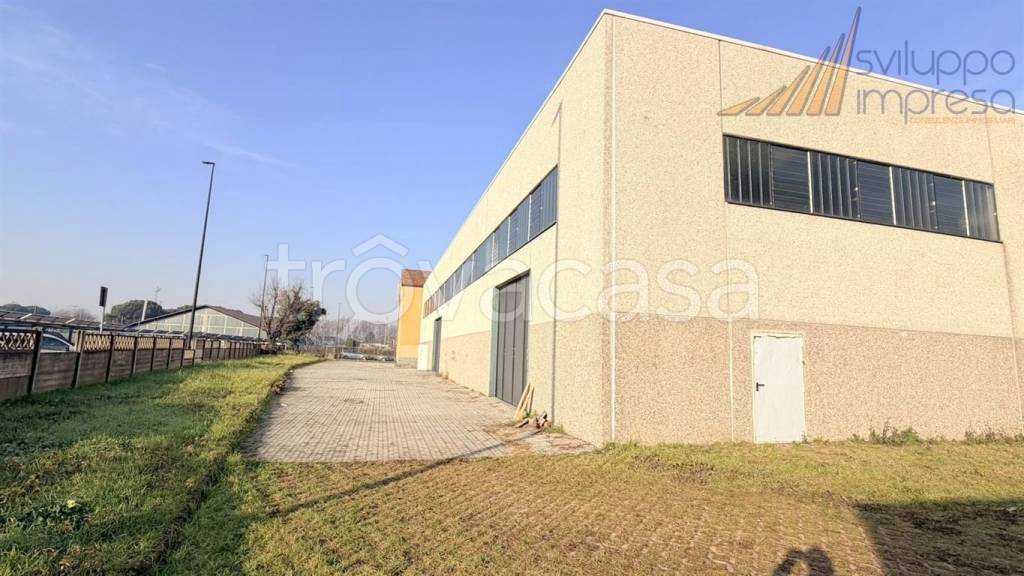 immagine annuncio 3 di 14