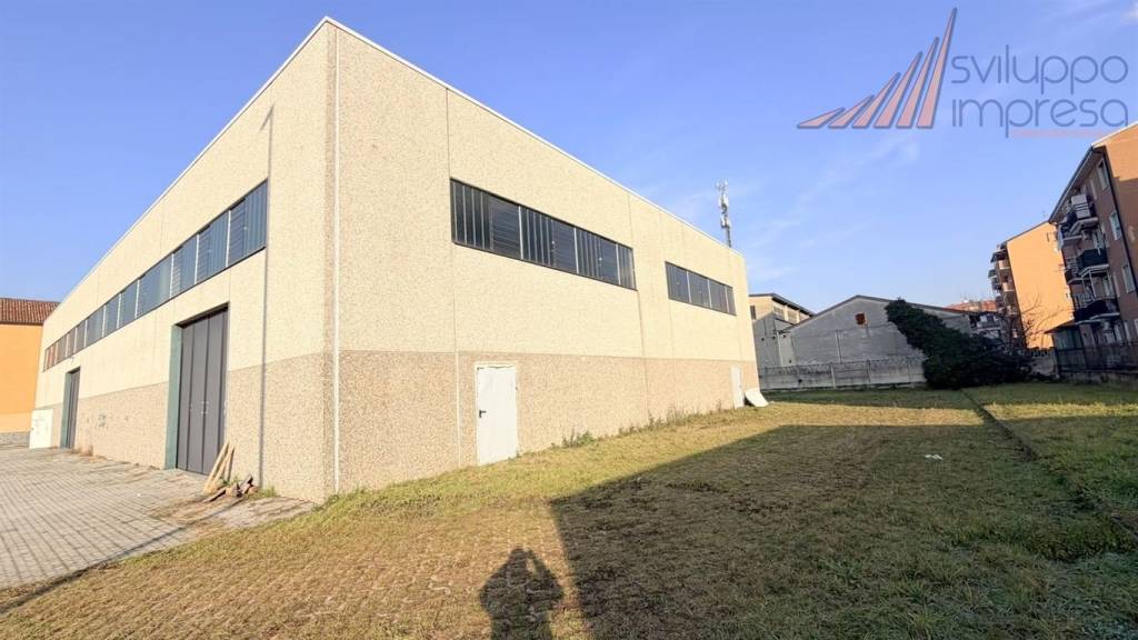 immagine annuncio 5 di 14