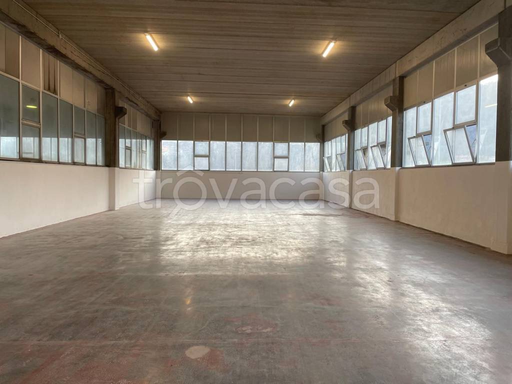 immagine annuncio 3 di 7